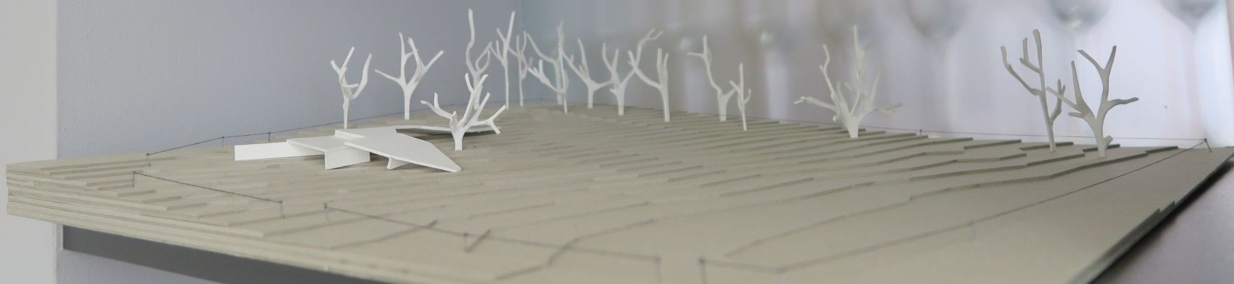 model-_o-nas model-_o-nas